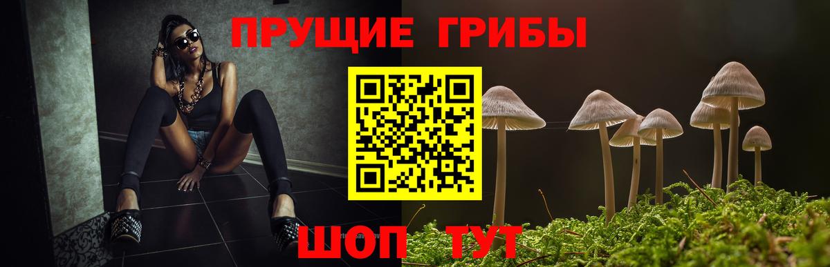 Псилоцибиновые грибы Cubensis Смоленск
